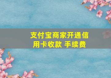 支付宝商家开通信用卡收款 手续费